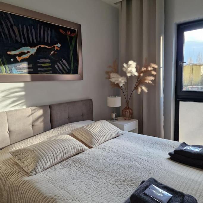 Apartament Nad Struga, Klimatyzacja, Parking,Taras Stary Toruń Exteriér fotografie